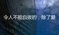 快排公司十年历程，霸屏兔 seo 的崛起与坚守