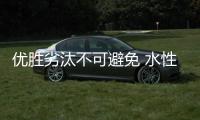 快排公司十年历程，霸屏兔 seo 的崛起与坚守