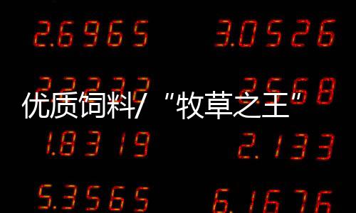 矿山的牛生奶“主力军”