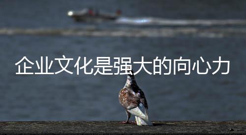 而想要建设好企业文化