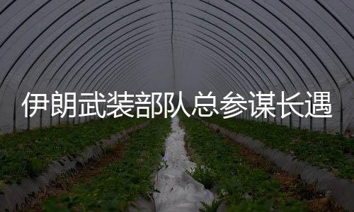 谁知又在阴沟里栽倒了