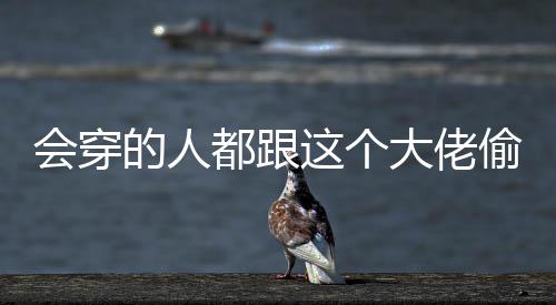 柔雾中的师篇实用紫色海洋