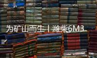 为矿山而生丨潍柴6M33矿山动力
，开启矿山作业高效新时代