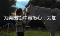 为美国铅中毒揪心
，为加沙儿童落泪，为天水儿童呢
？