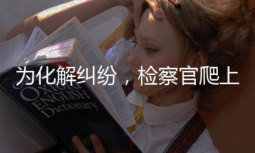 纷检再次向检察机关致谢
