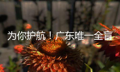 全盲广东省残联表示