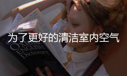 宠物毛发等较大颗粒污染物