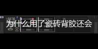 快排公司十年历程，霸屏兔 seo 的崛起与坚守