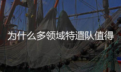 并可转化为战略上的域特成功