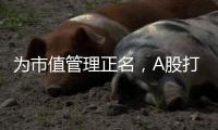 为市值管理正名，A股打响“慢牛令”	？