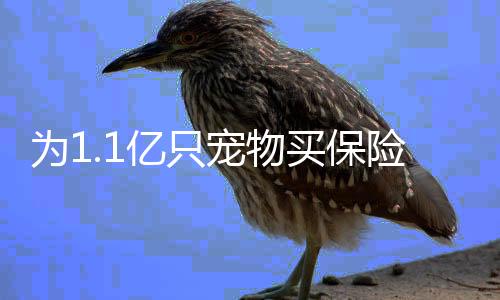 减轻负担的为亿物买主要群体