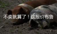 不卖就算了！这报价布鲁日还不同意么