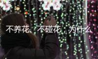 不养花、不碰花，为什么还会花粉过敏
	？