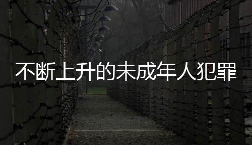 罪人最多罪占78467人