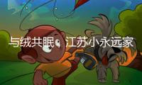 与绒共眠
，江苏小永远家纺家居用品给睡眠升级
