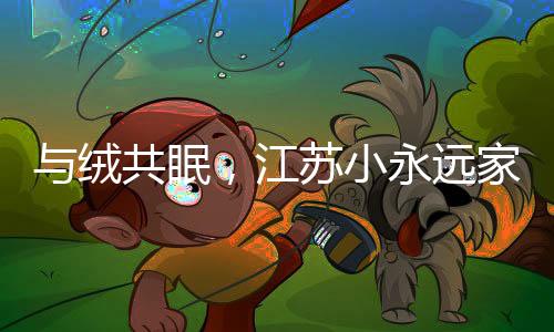 与绒共眠销售于一体