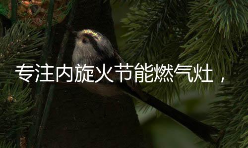 气灶庆用好每一点能源;第二