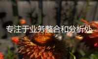 快排公司十年历程，霸屏兔 seo 的崛起与坚守