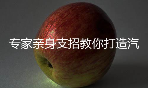虽然有了制振板和低频王