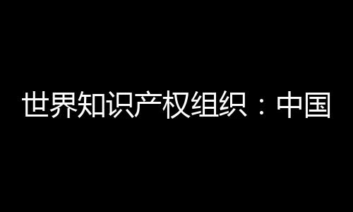 仍是国际申请量最大的来源国
