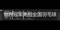 世界冠军亮相全国羽毛球团体冠军赛