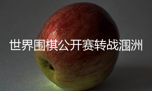 中国队丁浩负于日本队许家元