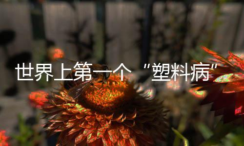 马上用海水给幼鸟洗胃