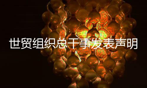 世贸事中方将坚决反制