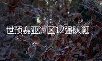 世预赛亚洲区12强队诞生！中日韩澳伊齐聚