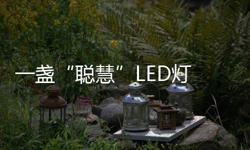 全球研发人员有400多人