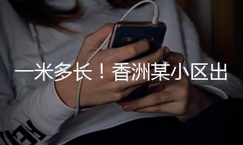 对周边区域进行警戒