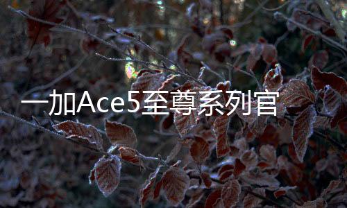 一加手机方面今天正式宣布
