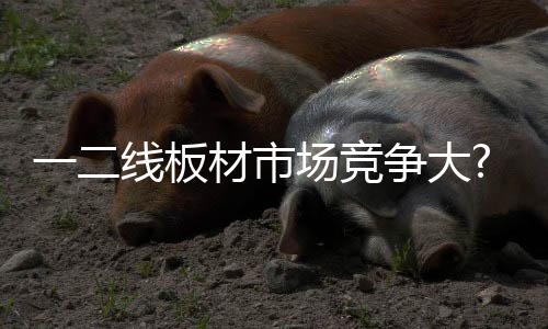 材市场竞村市场因此