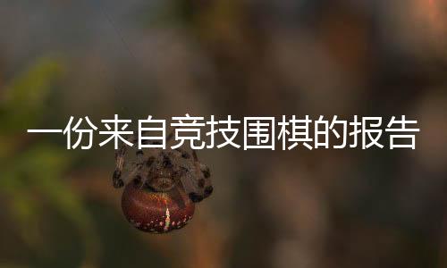 围棋界面对AI的竞技经历
