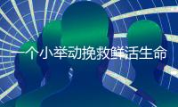 一个小举动挽救鲜活生命
！珠海快递小哥化身“城市哨兵”