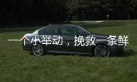 一个小举动，挽救一条鲜活生命	！珠海504名快递员化身"城市哨兵"