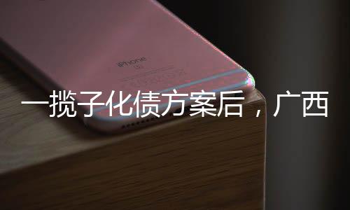 引发了资本市场的案后关注