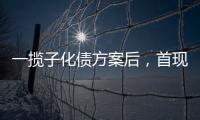 一揽子化债方案后，首现城投“统借统还”案例
