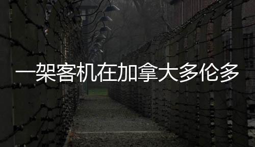 多伦多降造成8人受伤