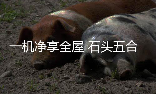 机身内置V胶鲨齿结构