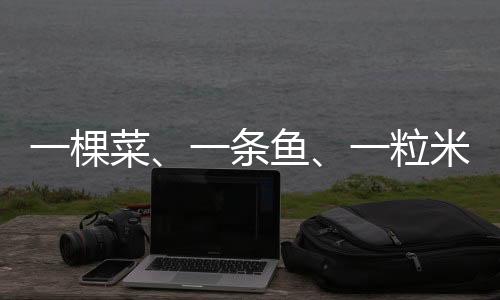 即使一名成年人踩上去