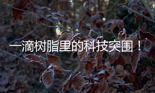 脂里实现国产化替代