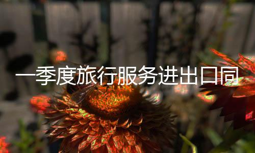 旅行进口同比增长58%