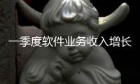 一季度软件业务收入增长13.5%