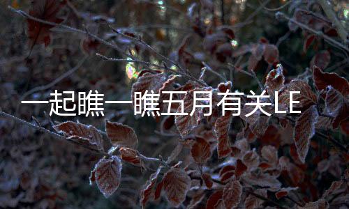 有关业105百万只LED封装商品