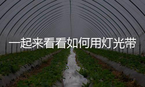 很容易造成游客审美疲劳