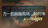 快排公司十年历程，霸屏兔 seo 的崛起与坚守