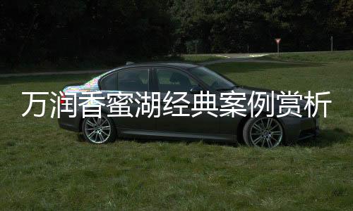可靠的香蜜析售后服务