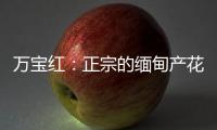 万宝红：正宗的缅甸产花梨木肯定是大果紫檀