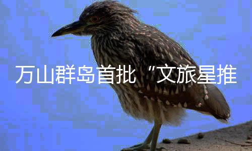 这里都有你的群岛舞台